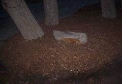 Rocky Mountain Landscape Bark Mulch Installed