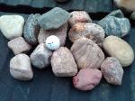 2-4 inch Alberta Rainbow Rock- photo