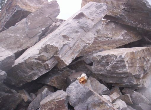  RSSS stone quarry blasted Grey Rundle, not sorted