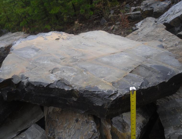 6-8 inch steps Moyie Rust Iron Stone