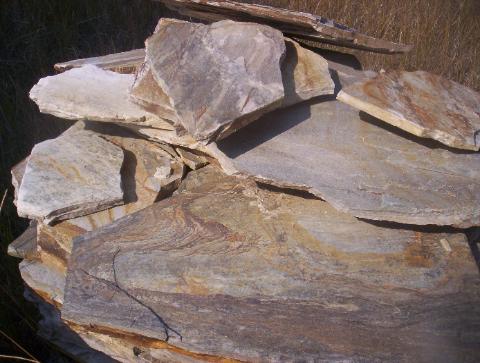  1 inch Gold Leaf Charman quartzite flagstone 