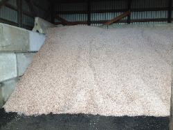 Potassium Based Salt in bulk