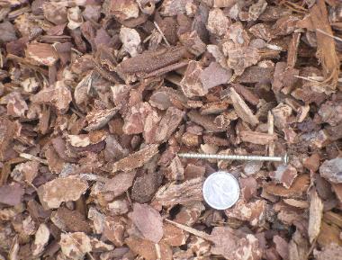 quarter and wood screw on mini nuggets