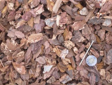 tooney and wood screw on small nuggets